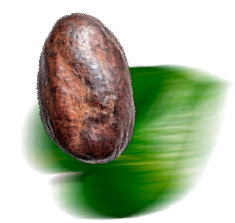 Forma de Cacao con Hoja