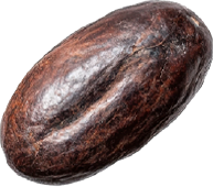 Forma de Cacao
