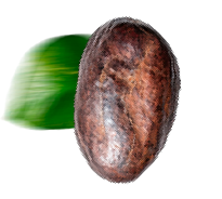 Forma de Hoja con Cacao